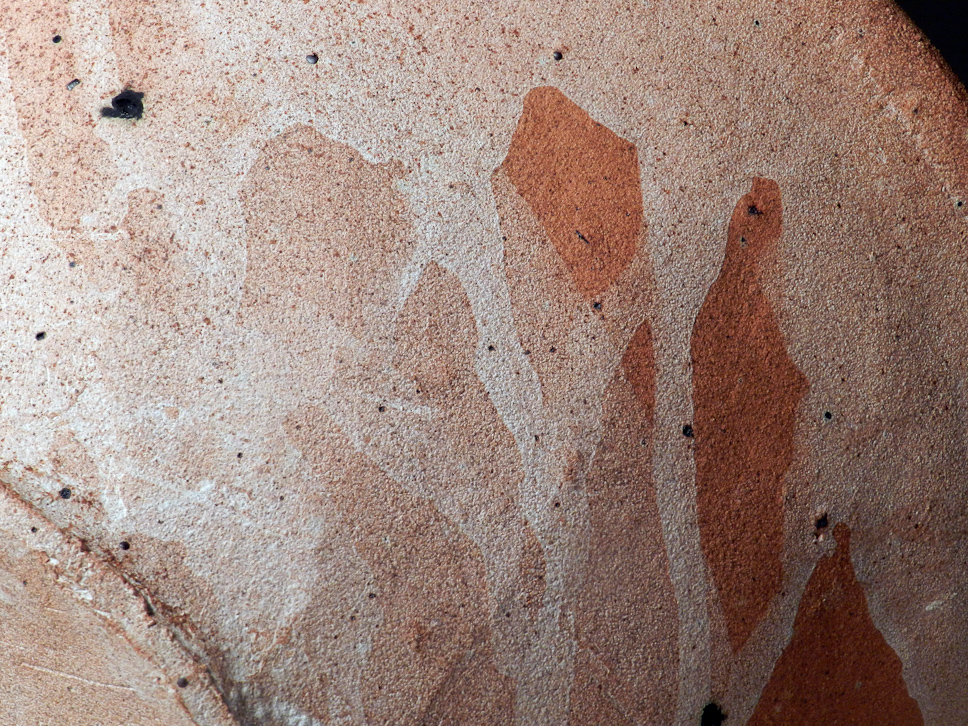 Dry Recumbent Bowl, Detail