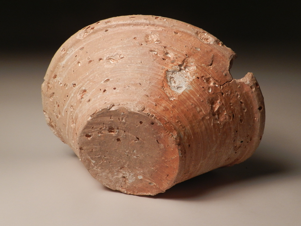 Recumbent Corn Bowl Dry with bite detail