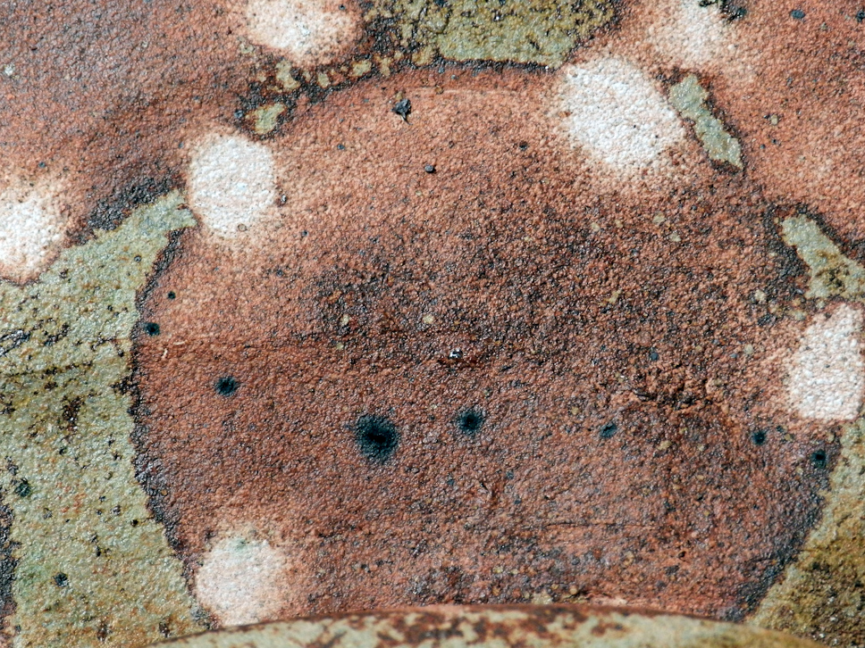 Saddle Platter 2015