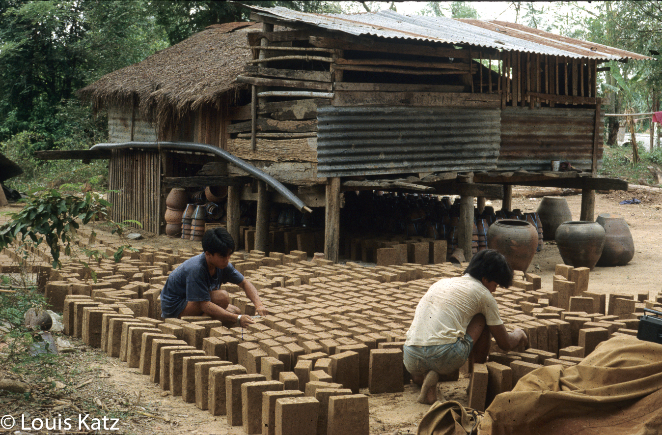 Dankwian Scorpion Kiln